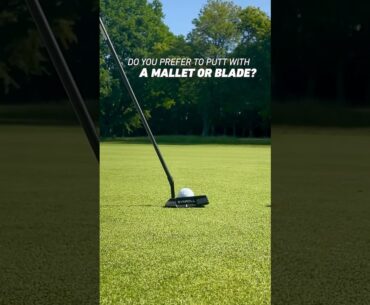 What’s your go-to putter choice and why? #golf #putting #putter #poll #golfer #golflife #golfing