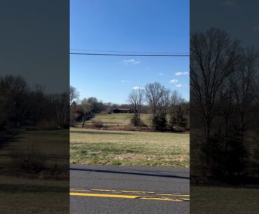 Distant Deers and Distant Stream and Countryside Views 3/16/24
