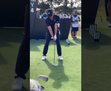 Beautiful Golf Swings from Peter and Andy #golf #sports #shorts