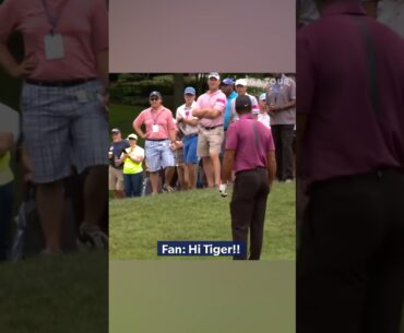 Just Tiger Woods things 🐅