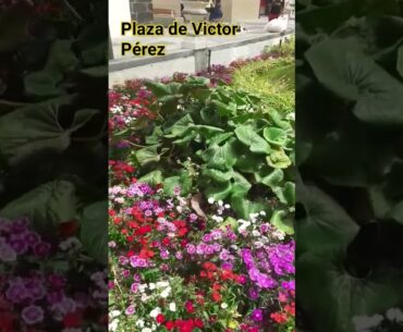 Plaza de Víctor Pérez en #PuertodelaCruz #Tenerife #TNRF