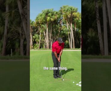 How Tiger Woods Hits His Patented Draw-Chip | TaylorMade Golf