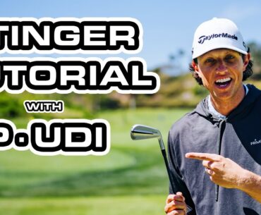 Grant Horvat Teaches How To Hit A Stinger With P·UDI | TaylorMade Golf