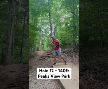 Peaks View Park - Hole #12 - Pixel! #discgolf #disc #golf #putter #pixel #simon #line