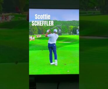 Scottie SCHEFFLER WORLD #1 #shortvideo #diy #golftips #golfer #golf #tips #champion #legend #pure