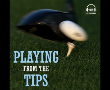 Playing From The Tips #6