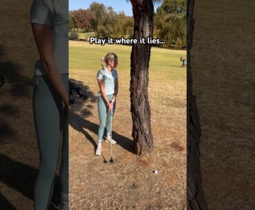 Play it where it lies ⛳️ #golf #golfer #golfgirl #golfhumor #golfjoke #golfswing #golflife