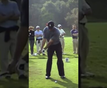 Prime Tiger Woods Iron Swing Slow Motion FO