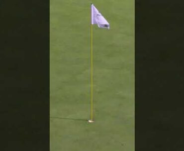 Finding the SWEET SPOT for eagle 🦅🏌