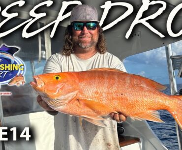 Deep Dropping is Guaranteed to Fill Your Coolers! Just Watch These Fishing Reports!