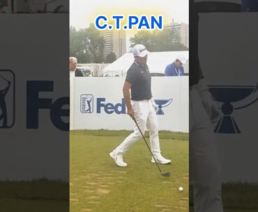 Taiwanese golfing hero/C.T.PAN