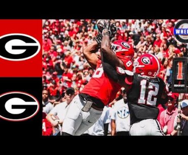 Georgia Bulldogs Football Spring Game 2024 Highlights | Red vs Black | College Football Highlights