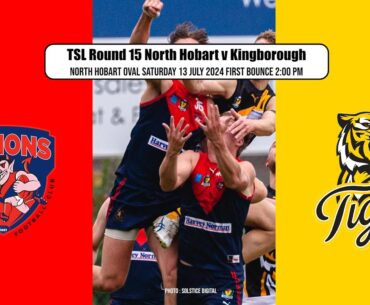 Tasmanian State League, Round 15, North Hobart v Kingborough