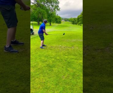 #golf #viral #golftournament #tournament #duff #hit #ground #gloves #foryou #funny #fyp #funnyshorts