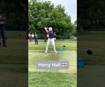 ハリー・ホール Harry Hall