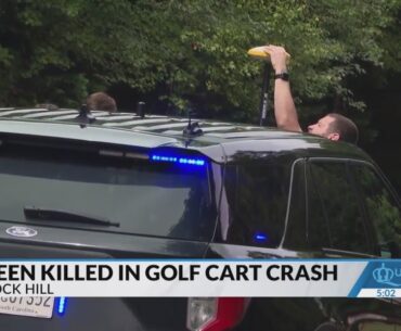 Car that killed teen in golf cart was traveling in wrong lane: Police