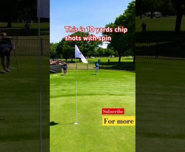 This is 10 yards chipp with Spin #golf #golfskill #video #shorts