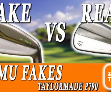 FAKE Taylormade P790 from TEMU | INCREDIBLE RESULTS