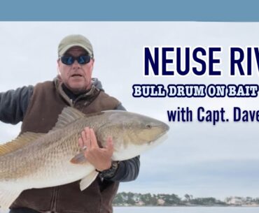 Neuse River Bull Drum on Bait Balls with Capt. Dave Hegel