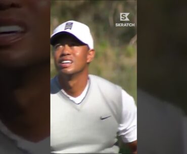 Tiger Woods' RECOIL Appreciation Post