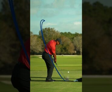 Tiger Woods' swing path appreciation post. #TaylorMade #golf #shorts