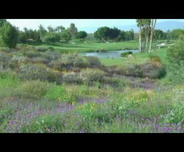 Indian Wells Golf Resort - Golfweeks Best