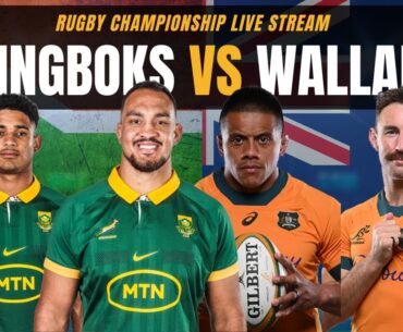 SPRINGBOKS VS WALLABIES LIVE | South Africa vs Australia Live Commentary & Watchalong