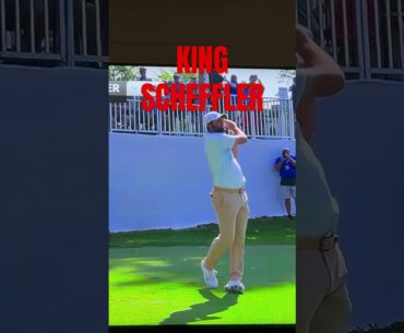 KING SCOTTIE SCHEFFLER  #shorts #diy #golftips #golf #golfer #short #golfswing #power #tips #shorts