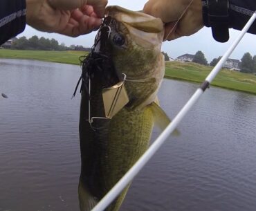 Crushing HAWGS on Buzzbaits at a Golf Course Pond