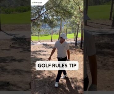 Golf Rules Tip | Ball In Twigs And Pine Straw #golf #rules #golfrules #rulesofgolf #golftips #golfer