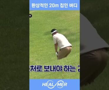 환상적인 20m 칩인 버디 미쵸따~! 🔥🔥 #shorts #golf #골프