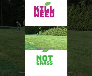 Weed Control with Torocity, Kill Weeds Not the Grass #weedcontrol