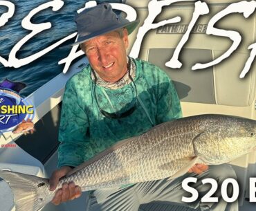 Hot Redfish Bite in Florida! | Fishing Reports For August 15-21