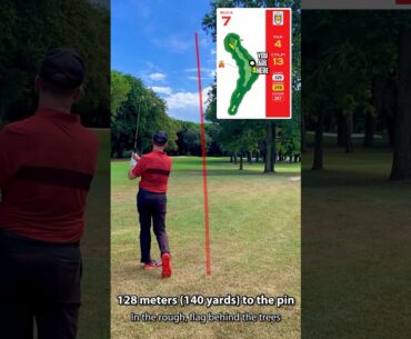 Play the shot: Flag behind the trees #golf #golfshot #golfswing #golfvideo