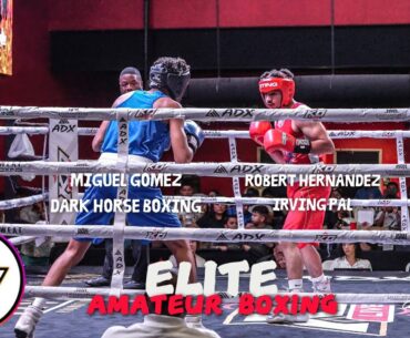 GREAT CARD! ELITE Boxing Contest Between Rising Stars In Dallas TX!