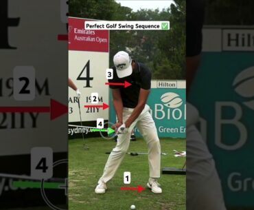 Golf Swing Basics (4 Sequences)