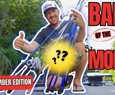 TOP BAITS of the MONTH | September 2024 Edition