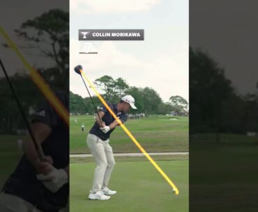 Major Champ Collin Morikawa Awesome Swing Motion & Slow Motion 2024