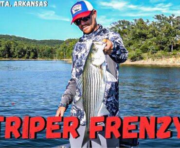 THIS STRIPER WILL SHOCK YOU!! 27-2024 SouthEAST