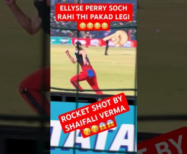 ELLYSE PERRY AUR BALL KI RACE 😳😳!#cricket #viral #trending #ytshorts #shorts #wpl #rcb #dc