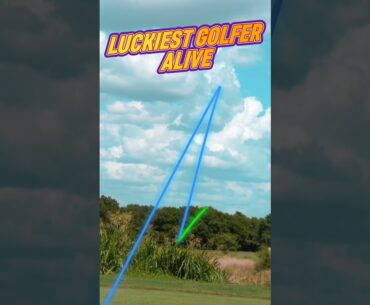 That was insanely lucky golf tee shot #golf #golfswing #golfing #golfer #golftips #golfcourse