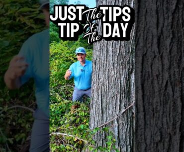 Tuesday Tip of the Day Showing you how to take a drop when you hit it in the woods.  #golfshorts