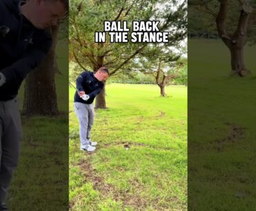 Stuck in the trees? This is an easy golf shot to get you back in safety! #golf #golftips #golfswing