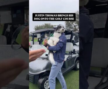 Justin Thomas plays golf with his dog! #justinthomas #pgatour #dogs