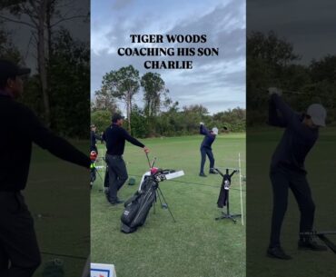 Rate Charlie Woods Golf Swing. 😳 #tigerwoods #charliewoods #pgatour