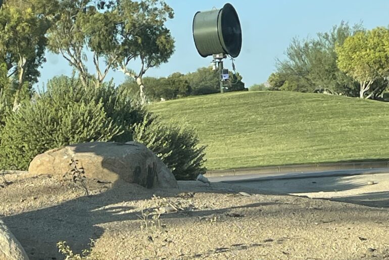 What is this giant fan? Just off the green.