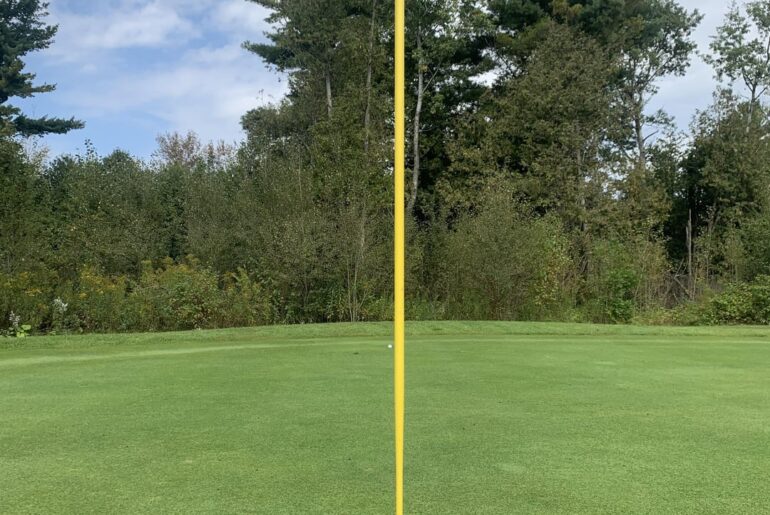 My First Birdie Was *Almost* A Hole In One