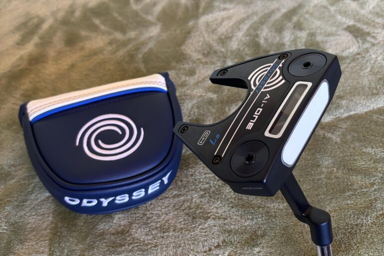 I got a promotion so I bought a new putter