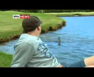 Golfers Brave Shark-Infested Course!