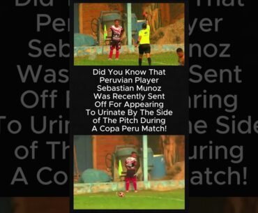 Daily Football Facts Day 323! #shorts #football #viral #capcut #footballshorts